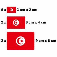 10 Stück Flaggen Aufkleber Tunesien Set | Sticker Tunisia Autoaufkleber